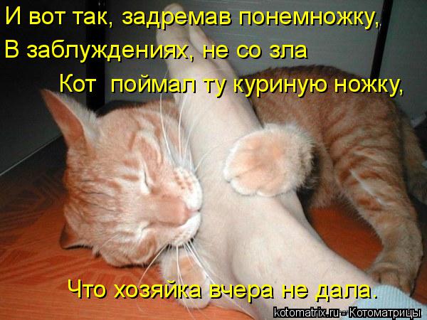 Котоматрица: И вот так, задремав понемножку,  В заблуждениях, не со зла Кот  поймал ту куриную ножку,  Что хозяйка вчера не дала.