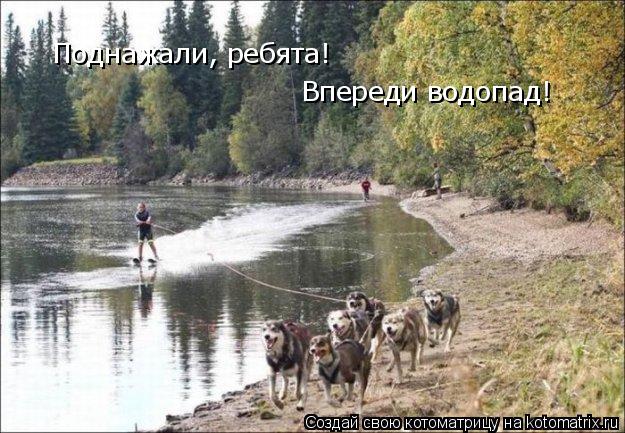 Поднажали, ребята! Впереди водопад!... Котоматрица: Поднажали, ребята! Впереди водопад!