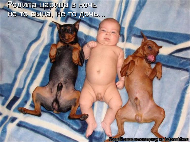 Родила царица в ночь не то сына, не то дочь...... Котоматрица: Родила царица в ночь не то сына, не то дочь...
