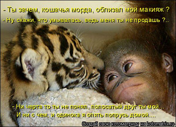 - Ты зачем, кошачья морда, облизал мой макияж ? - Ну. скажи, что умывалась, ведь меня ты не продашь ?... Котоматрица: - Ты зачем, кошачья морда, облизал мой макияж ? - Ну. скажи, что умывалась, ведь меня ты не продашь ?.. - Ни черта то ты не понял, полосатый друг ты