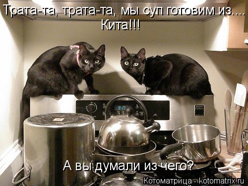 Трата-та, трата-та, мы суп готовим из.... Кита!!! А вы думали из чего?... Котоматрица: Трата-та, трата-та, мы суп готовим из.... Кита!!! А вы думали из чего?
