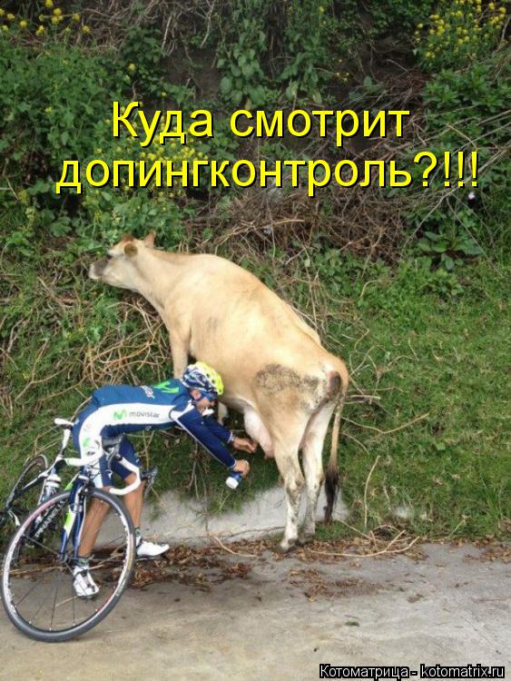 допингконтроль?!!! Куда смотрит... Котоматрица: допингконтроль?!!! Куда смотрит