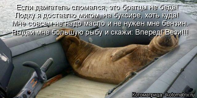 Мне совсем не надо масло и не нужен мне бензин. Лодку я доставлю мигом, на буксире, хоть куда! Если д... Котоматрица: Мне совсем не надо масло и не нужен мне бензин. Лодку я доставлю мигом, на буксире, хоть куда! Если двигатель сломался, это братцы не беда! Выд
