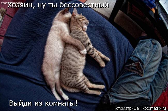 Хозяин, ну ты бессовестный Выйди из комнаты!... Котоматрица: Хозяин, ну ты бессовестный Выйди из комнаты!