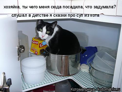 хозяйка, ты чего меня сюда посадила, что задумала? слушал в детстве я сказки про суп из кота... Котоматрица: хозяйка, ты чего меня сюда посадила, что задумала? слушал в детстве я сказки про суп из кота