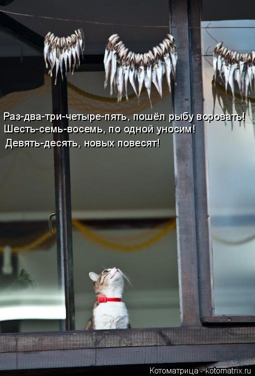 Раз-два-три-четыре-пять, пошёл рыбу воровать! Шесть-семь-восемь, по одной уносим! Девять-десять, новы... Котоматрица: Раз-два-три-четыре-пять, пошёл рыбу воровать! Шесть-семь-восемь, по одной уносим! Девять-десять, новых повесят!