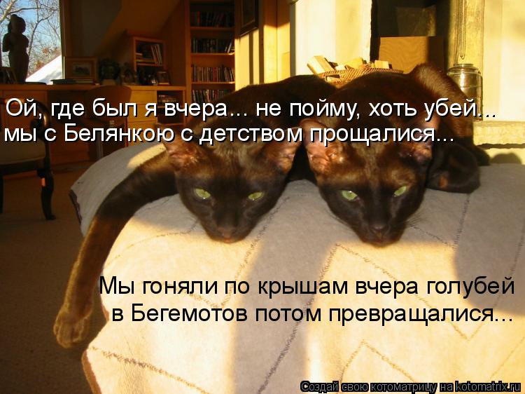 Ой, где был я вчера... не пойму, хоть убей... Мы гоняли по крышам вчера голубей в Бегемотов потом пре... Котоматрица: Ой, где был я вчера... не пойму, хоть убей... Мы гоняли по крышам вчера голубей в Бегемотов потом превращалися... мы с Белянкою с детством прощал