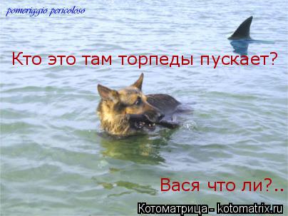 Кто это там торпеды пускает? Вася что ли?..... Котоматрица: Кто это там торпеды пускает? Вася что ли?..