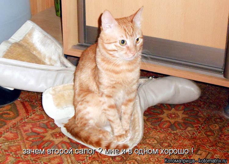 зачем второй сапог ? мне и в одном хорошо !... Котоматрица: зачем второй сапог ? мне и в одном хорошо !