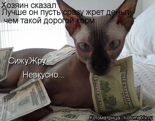 Котоматрица: Хозяин сказал : Лучше он пусть сразу жрет деньги, чем такой дорогой корм. Сижу.Жру. Невкусно...