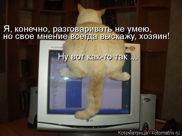 Я, конечно, разговаривать не умею, но свое мнение всегда выскажу, хозяин! Ну вот как-то так ...... Котоматрица: Я, конечно, разговаривать не умею, но свое мнение всегда выскажу, хозяин! Ну вот как-то так ...