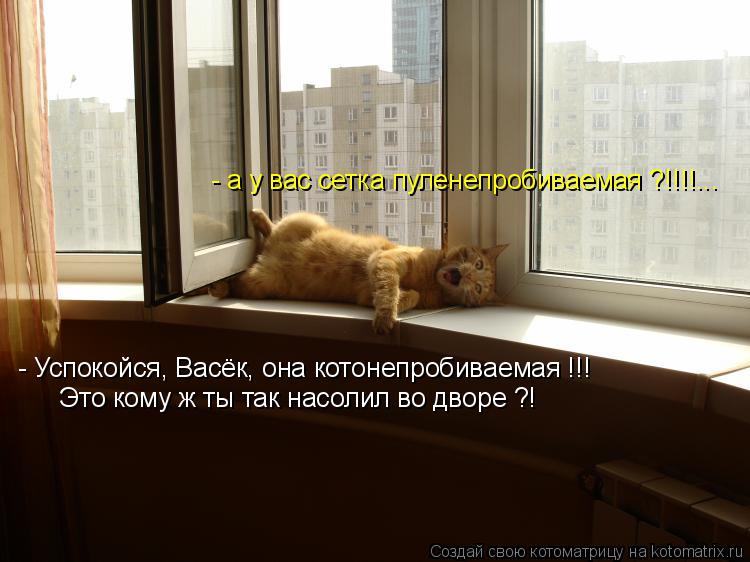 - а у вас сетка пуленепробиваемая ?!!!!... - Успокойся, Васёк, она котонепробиваемая !!! Это кому ж т... Котоматрица: - а у вас сетка пуленепробиваемая ?!!!!... - Успокойся, Васёк, она котонепробиваемая !!! Это кому ж ты так насолил во дворе ?!