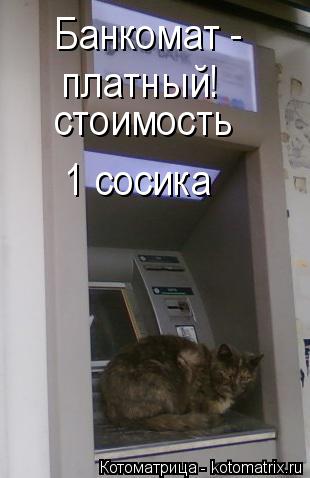 Котоматрица: Банкомат -  платный! 1 сосика стоимость