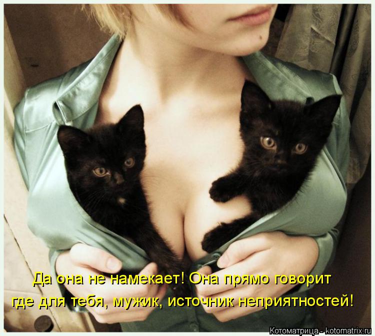 Котоматрица: Да она не намекает! Она прямо говорит где для тебя, мужик, источник неприятностей!