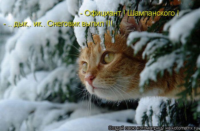 - Официант ! Шампанского ! - .. дык.. ик.. Снеговик выпил !!!... Котоматрица: - Официант ! Шампанского ! - .. дык.. ик.. Снеговик выпил !!!