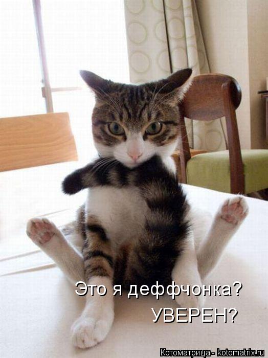 Это я деффченка? Это я деффчонка? УВЕРЕН?... Котоматрица: Это я деффченка? Это я деффчонка? УВЕРЕН?