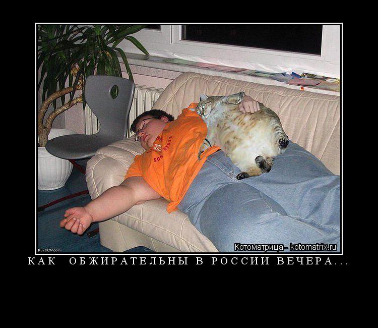 КАК ОБЖИРАТЕЛЬНЫ В РОССИИ ВЕЧЕРА... ... Котоматрица: КАК ОБЖИРАТЕЛЬНЫ В РОССИИ ВЕЧЕРА...