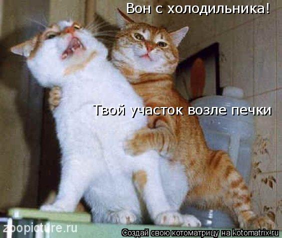 Вон с холодильника! Твой участок возле печки... Котоматрица: Вон с холодильника! Твой участок возле печки