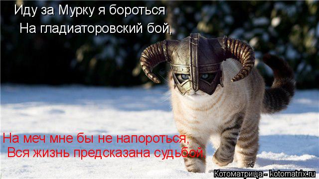 Иду за Мурку я бороться На гладиаторовский бой, На меч мне бы не напороться, Вся жизнь предсказана су... Котоматрица: Иду за Мурку я бороться На гладиаторовский бой, На меч мне бы не напороться, Вся жизнь предсказана судьбой.