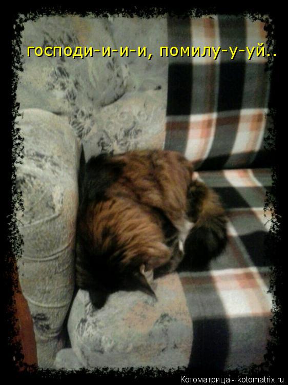 Котоматрица: господи-и-и-и, помилу-у-уй..