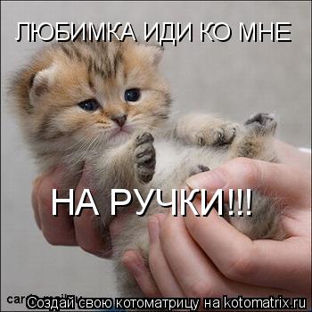 Котоматрица: ЛЮБИМКА ИДИ КО МНЕ НА РУЧКИ!!!