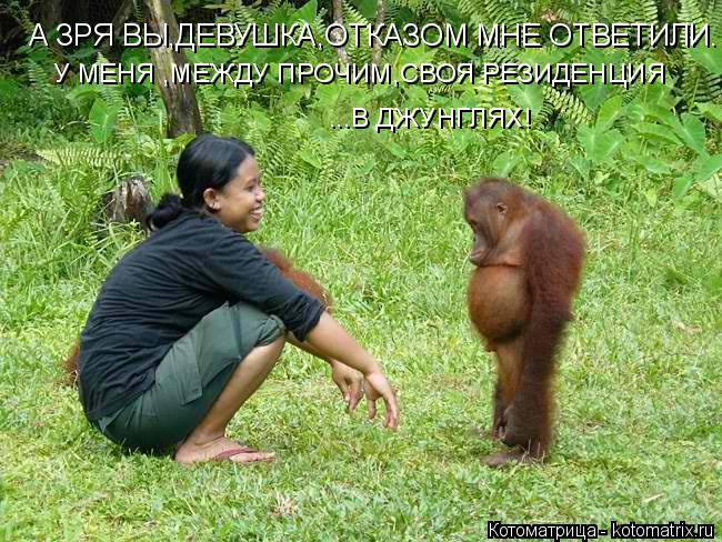 А ЗРЯ ВЫ,ДЕВУШКА,ОТКАЗОМ МНЕ ОТВЕТИЛИ. У МЕНЯ ,МЕЖДУ ПРОЧИМ,СВОЯ РЕЗИДЕНЦИЯ ...В ДЖУНГЛЯХ!... Котоматрица: А ЗРЯ ВЫ,ДЕВУШКА,ОТКАЗОМ МНЕ ОТВЕТИЛИ. У МЕНЯ ,МЕЖДУ ПРОЧИМ,СВОЯ РЕЗИДЕНЦИЯ ...В ДЖУНГЛЯХ!
