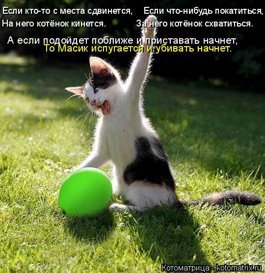 Если кто-то с места сдвинется, Если что-нибудь покатиться, На него котёнок кинется. За ... Котоматрица: Если кто-то с места сдвинется, Если что-нибудь покатиться, На него котёнок кинется. За него котёнок схватиться. А если подойдет побли