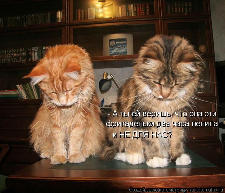 - А ты ей веришь, что она эти и НЕ ДЛЯ НАС? фрикадельки два часа лепила... Котоматрица: - А ты ей веришь, что она эти и НЕ ДЛЯ НАС? фрикадельки два часа лепила