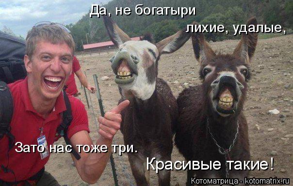 Котоматрица: Да, не богатыри  лихие, удалые, Зато нас тоже три.  Красивые такие!