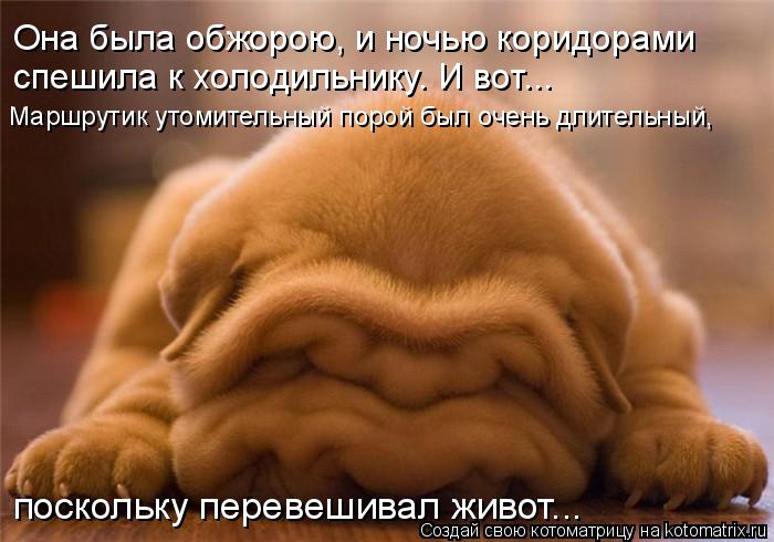 Она была обжорою, и ночью коридорами спешила к холодильнику. И вот... Маршрутик утомительный порой бы... Котоматрица: Она была обжорою, и ночью коридорами спешила к холодильнику. И вот... Маршрутик утомительный порой был очень длительный, поскольку перевеши