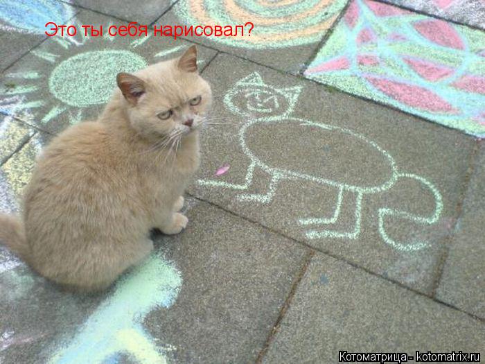 Котоматрица: Это ты себя нарисовал?