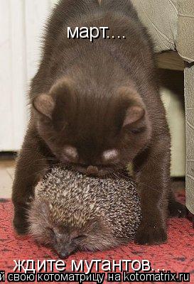 Котоматрица: март.... ждите мутантов...