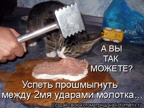 Успеть прошмыгнуть между 2мя ударами молотка... А ВЫ ТАК МОЖЕТЕ?... Котоматрица: Успеть прошмыгнуть между 2мя ударами молотка... А ВЫ ТАК МОЖЕТЕ?