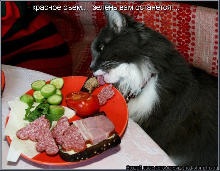 - красное съем... зелень вам останется....... Котоматрица: - красное съем... зелень вам останется....