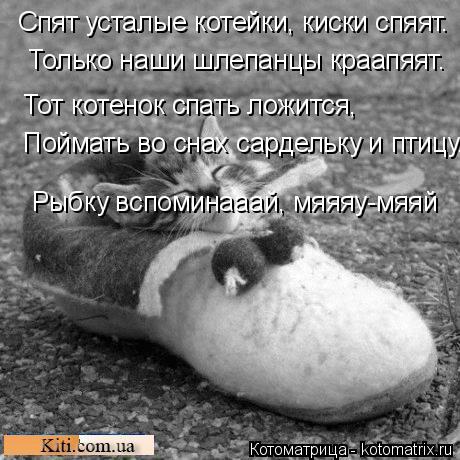Спят усталые котейки, киски спяят. Только наши шлепанцы краапяят. Тот котенок спать ложится, Поймать... Котоматрица: Спят усталые котейки, киски спяят. Только наши шлепанцы краапяят. Тот котенок спать ложится, Поймать во снах сардельку и птицу. Рыбку вспом