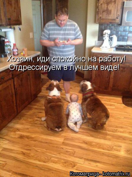 Хозяин, иди спокойно на работу! Отдрессируем в лучшем виде!... Котоматрица: Хозяин, иди спокойно на работу! Отдрессируем в лучшем виде!