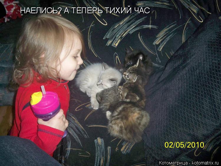 НАЕЛИСЬ? А ТЕПЕРЬ ТИХИЙ ЧАС... Котоматрица: НАЕЛИСЬ? А ТЕПЕРЬ ТИХИЙ ЧАС