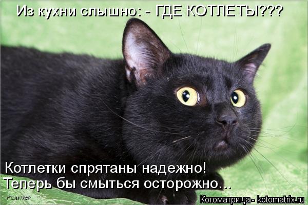 Из кухни слышно: - ГДЕ КОТЛЕТЫ??? Теперь бы смыться осторожно... Котлетки спрятаны надежно!... Котоматрица: Из кухни слышно: - ГДЕ КОТЛЕТЫ??? Теперь бы смыться осторожно... Котлетки спрятаны надежно!