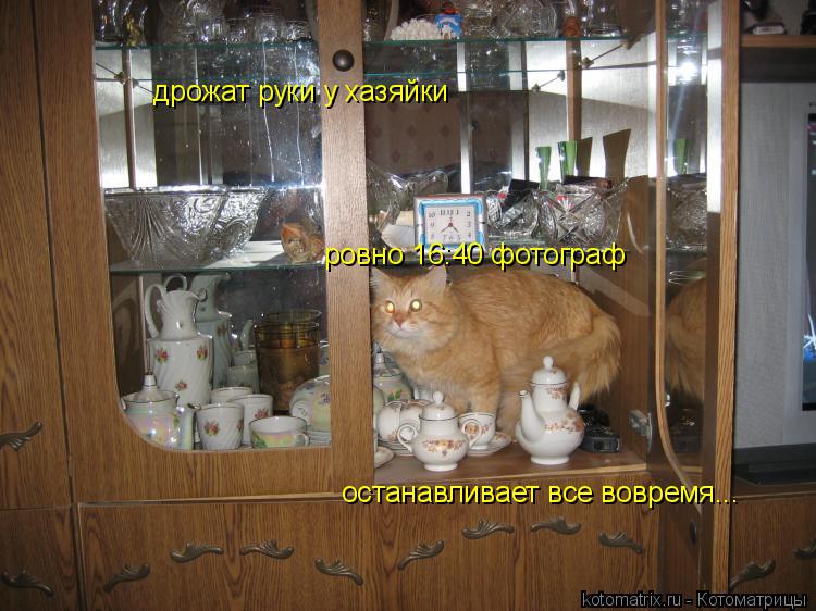 дрожат руки у хазяйки ровно 16:40 фотограф останавливает все вовремя...... Котоматрица: дрожат руки у хазяйки ровно 16:40 фотограф останавливает все вовремя...