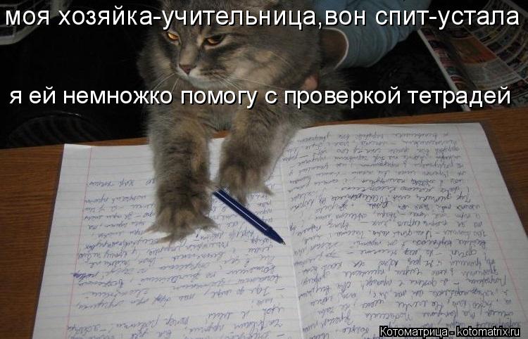 Котоматрица: моя хозяйка-учительница,вон спит-устала я ей немножко помогу с проверкой тетрадей