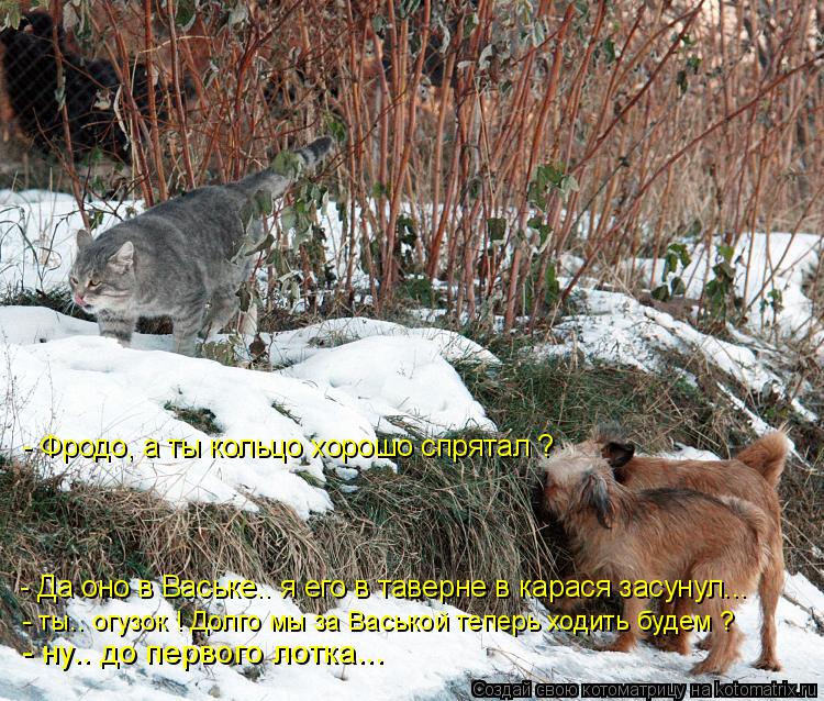 Котоматрица: - Фродо, а ты кольцо хорошо спрятал ? - Да оно в Ваське.. я его в таверне в карася засунул... - ты.. огузок ! Долго мы за Васькой теперь ходить будем
