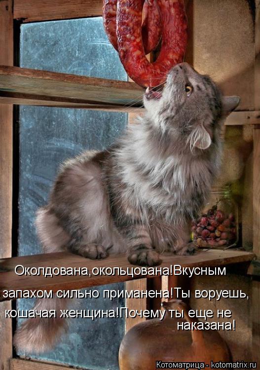 Котоматрица: Околдована,окольцована!Вкусным  запахом сильно приманена!Ты воруешь, кошачая женщина!Почему ты еще не наказана!