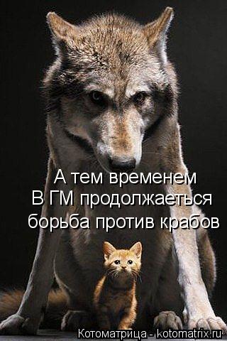 А тем временем В ГМ продолжаеться борьба против крабов... Котоматрица: А тем временем В ГМ продолжаеться борьба против крабов