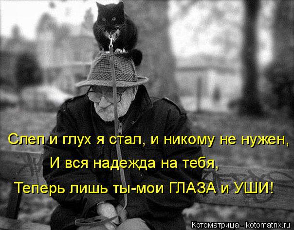 Котоматрица: Слеп и глух я стал, и никому не нужен, И вся надежда на тебя,  Теперь лишь ты-мои ГЛАЗА и УШИ!