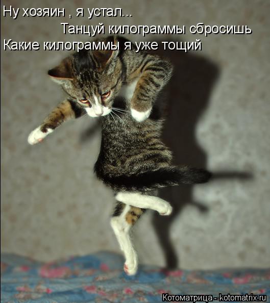 Котоматрица: Ну хозяин , я устал... Танцуй килограммы сбросишь Какие килограммы я уже тощий