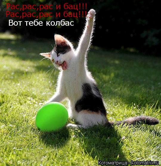 Котоматрица: Рас,рас,рас и бац!!! Рас,рас,рас и бац!!! Вот тебе колбас