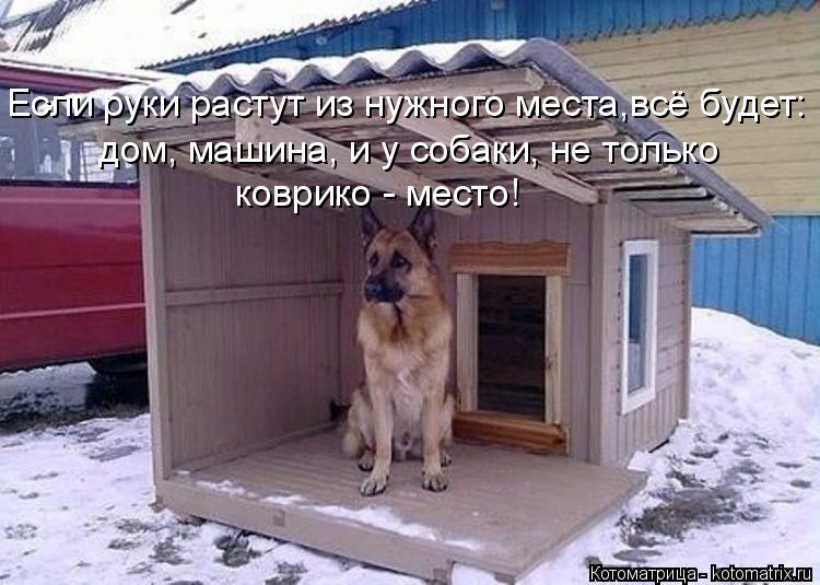 Если руки растут из нужного места,всё будет: дом, машина, и у собаки, не только коврико - место!... Котоматрица: Если руки растут из нужного места,всё будет: дом, машина, и у собаки, не только коврико - место!