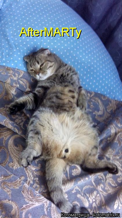 AfterMARTy... Котоматрица: AfterMARTy