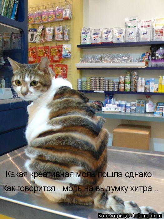 Какая креативная моль пошла однако! Как говорится - моль на выдумку хитра...... Котоматрица: Какая креативная моль пошла однако! Как говорится - моль на выдумку хитра...