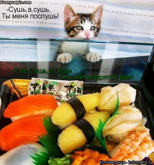 -Сушь,а,сушь, Ты меня послушь! -Я не Сушь,а Суши, Скушай-загорятся уши!... Котоматрица: -Сушь,а,сушь, Ты меня послушь! -Я не Сушь,а Суши, Скушай-загорятся уши!